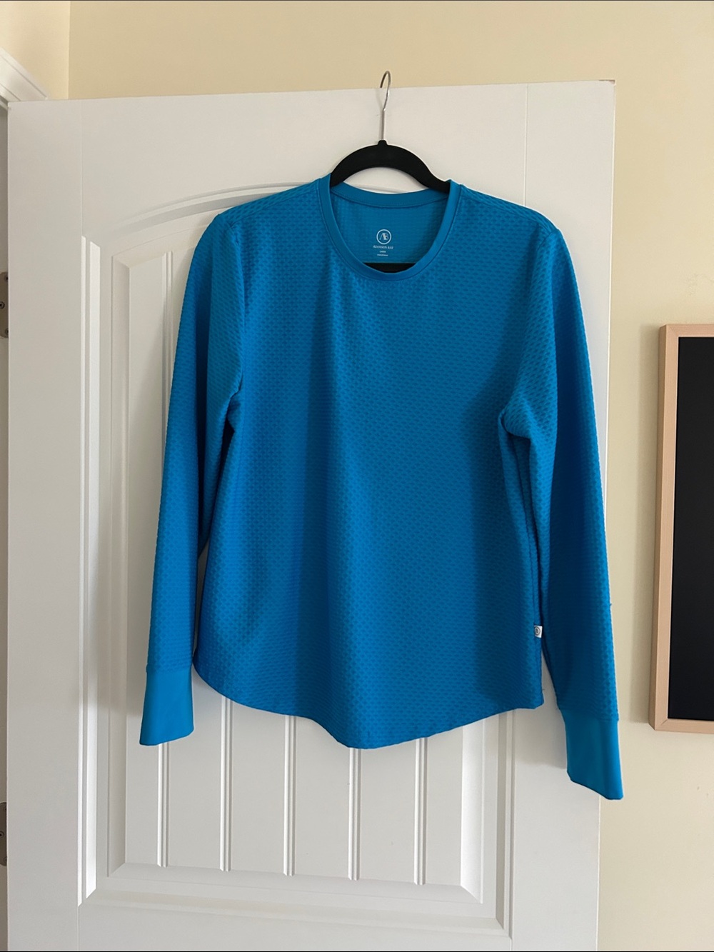 Women’s Long Sleeve Active Mesh Palmetto by Addison Bay Teal Blue